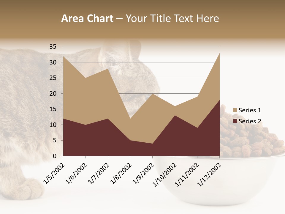 Cat Fur Food PowerPoint Template