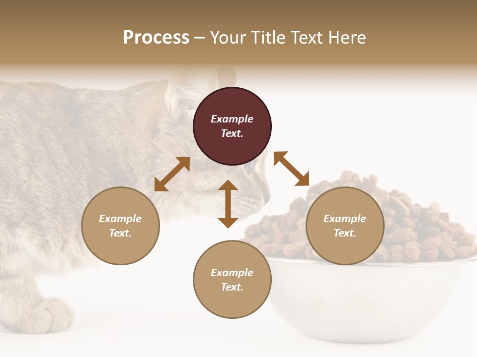 Cat Fur Food PowerPoint Template