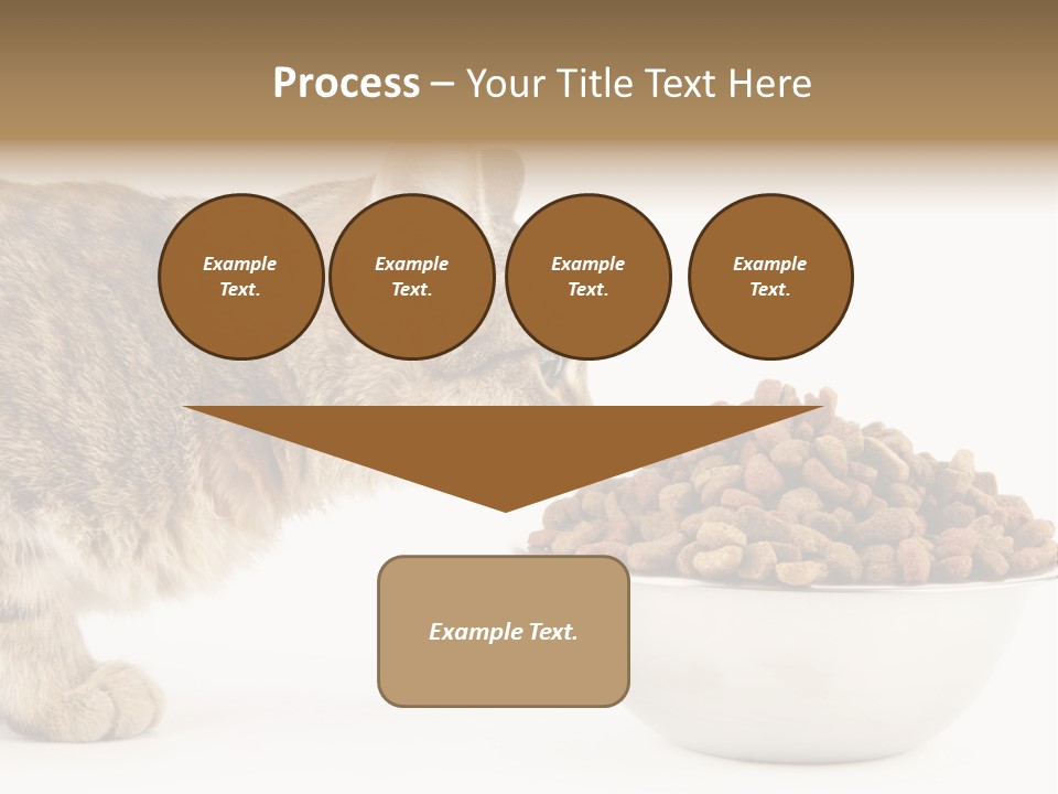 Cat Fur Food PowerPoint Template