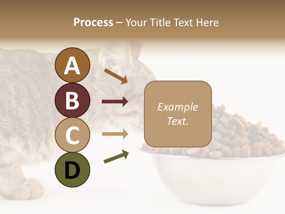 Cat Fur Food PowerPoint Template
