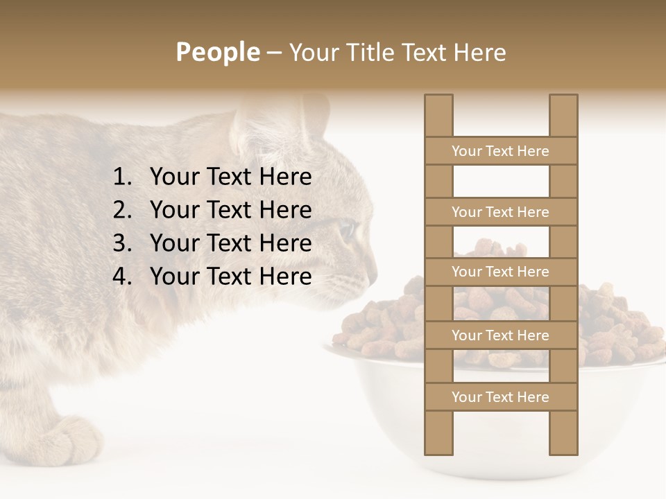 Cat Fur Food PowerPoint Template