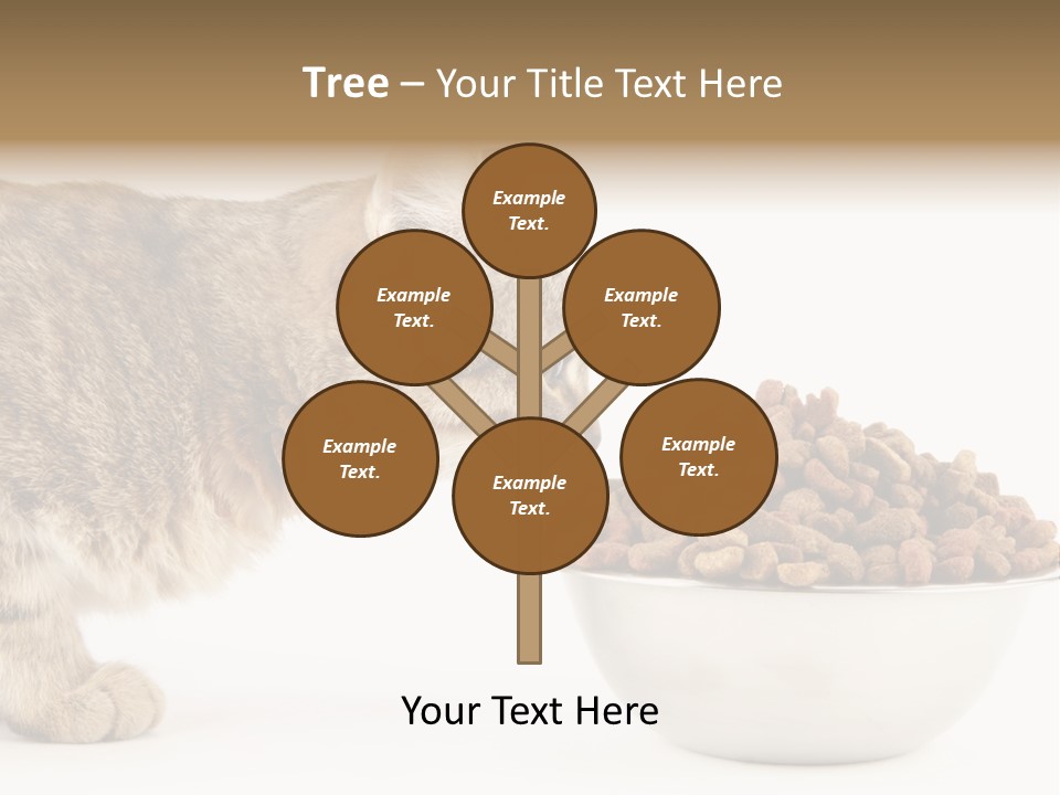 Cat Fur Food PowerPoint Template