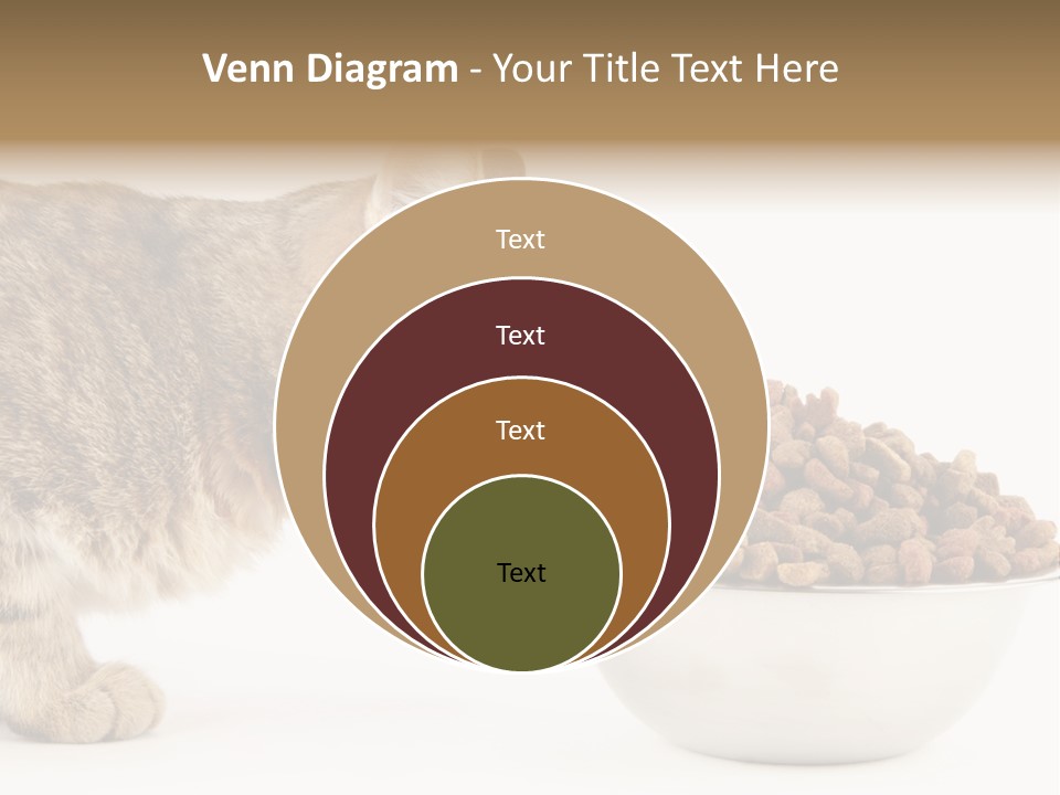 Cat Fur Food PowerPoint Template