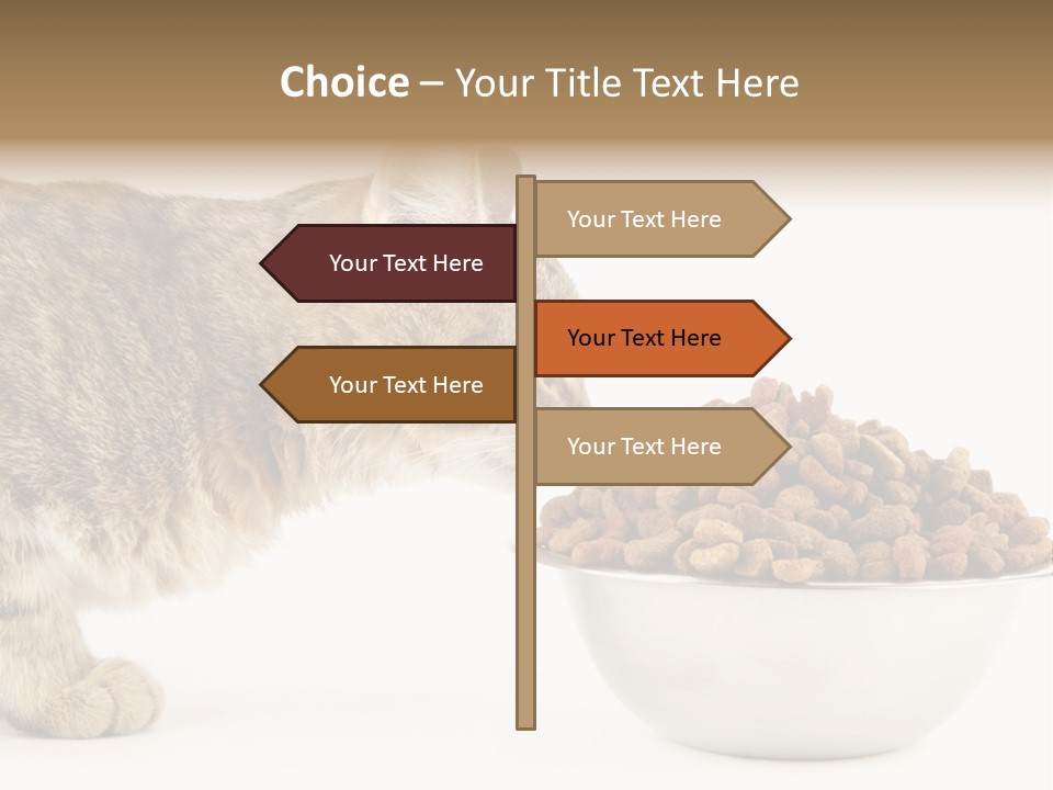 Cat Fur Food PowerPoint Template