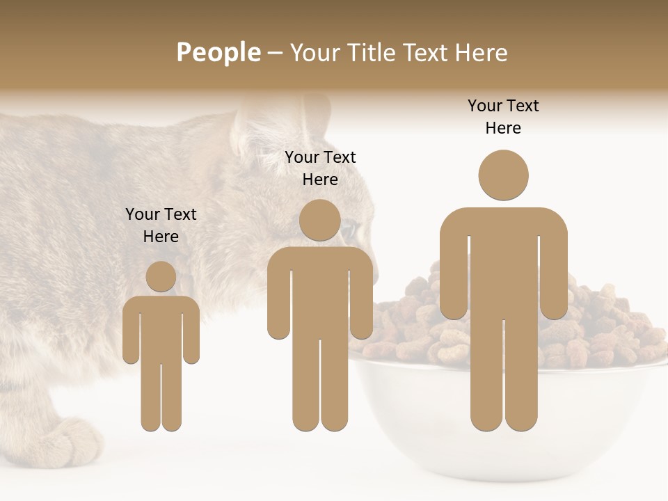 Cat Fur Food PowerPoint Template