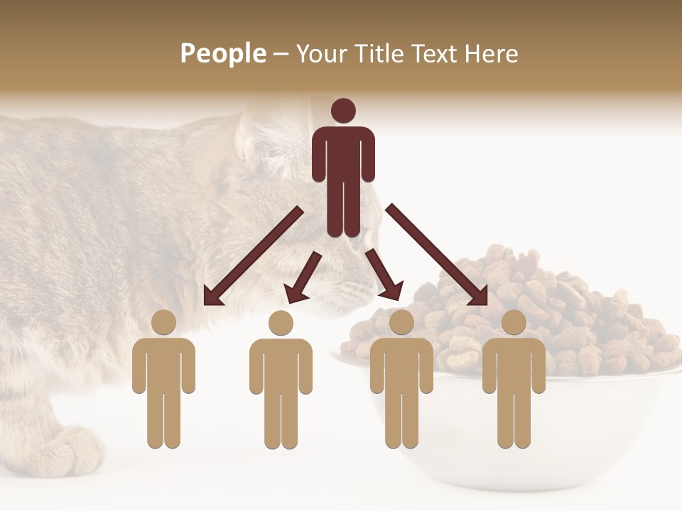 Cat Fur Food PowerPoint Template