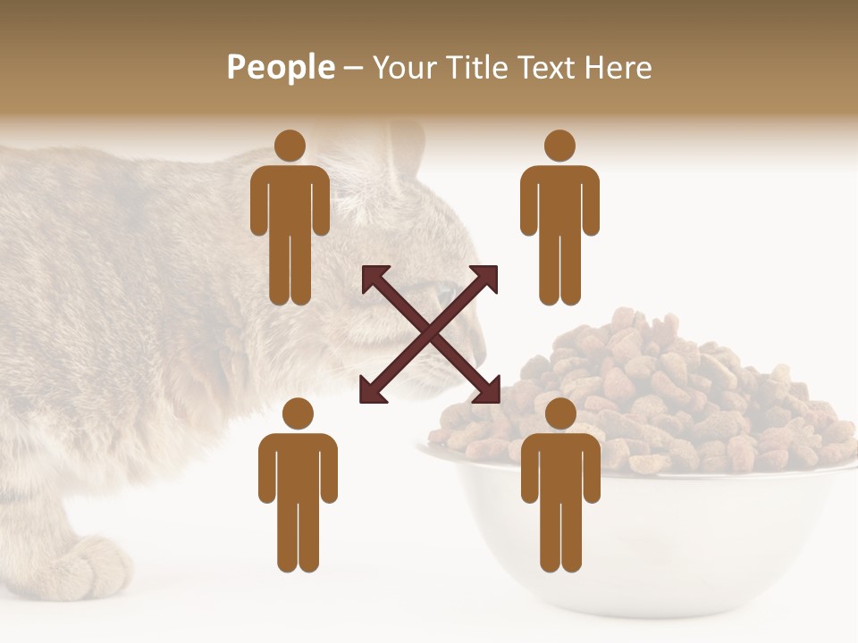 Cat Fur Food PowerPoint Template