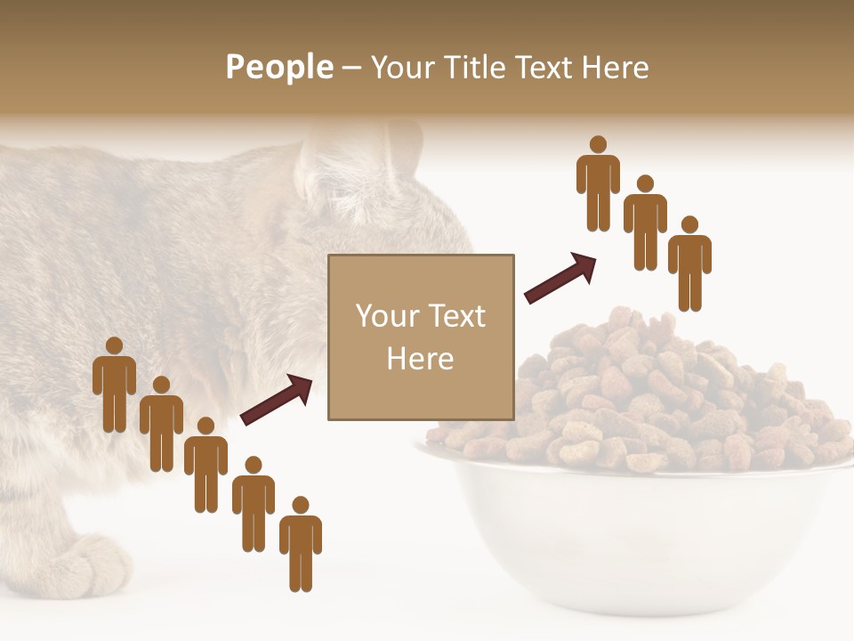 Cat Fur Food PowerPoint Template