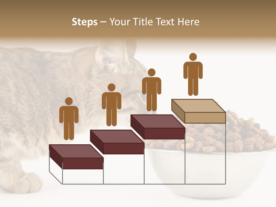 Cat Fur Food PowerPoint Template