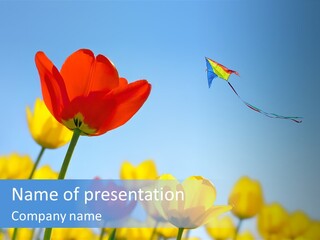Freedom Gardening Flower PowerPoint Template