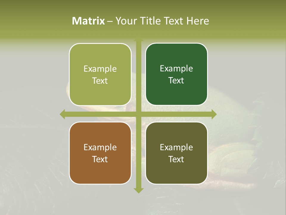 Frog Green Frog Nature PowerPoint Template