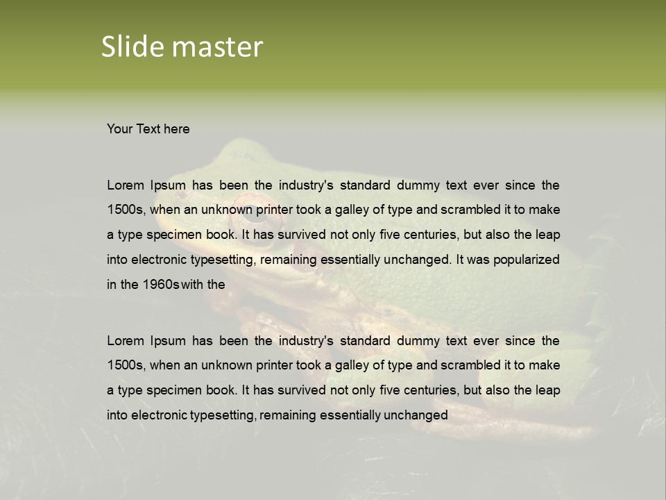 Frog Green Frog Nature PowerPoint Template