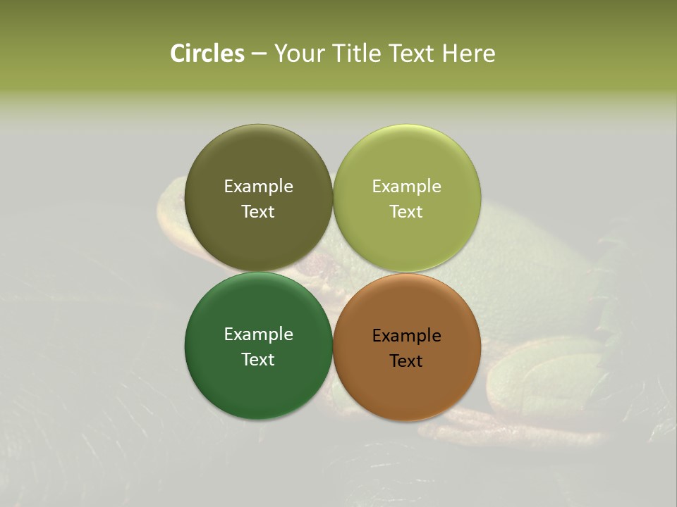 Frog Green Frog Nature PowerPoint Template