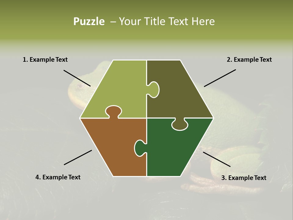 Frog Green Frog Nature PowerPoint Template