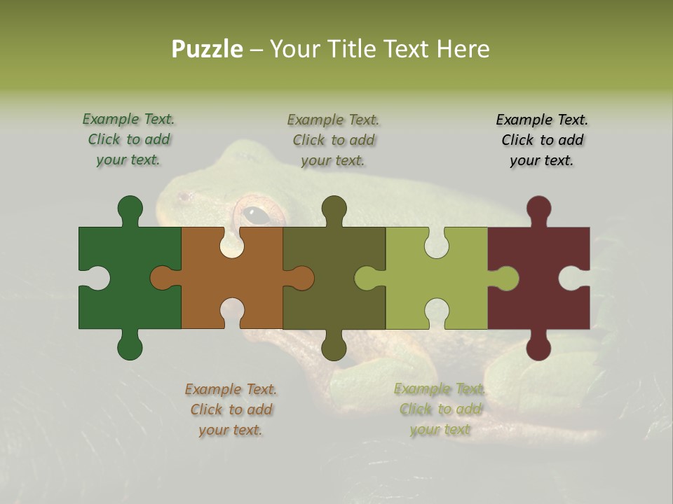 Frog Green Frog Nature PowerPoint Template