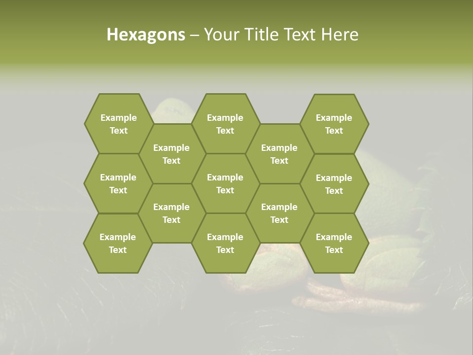 Frog Green Frog Nature PowerPoint Template