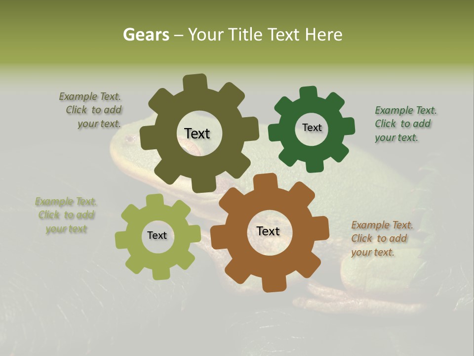 Frog Green Frog Nature PowerPoint Template