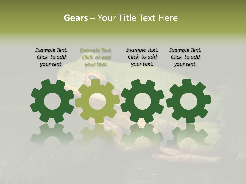 Frog Green Frog Nature PowerPoint Template