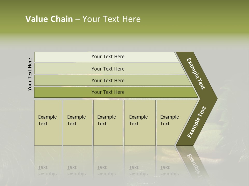 Frog Green Frog Nature PowerPoint Template