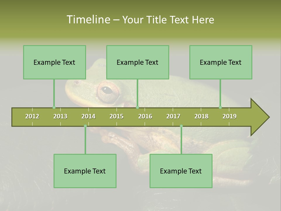 Frog Green Frog Nature PowerPoint Template