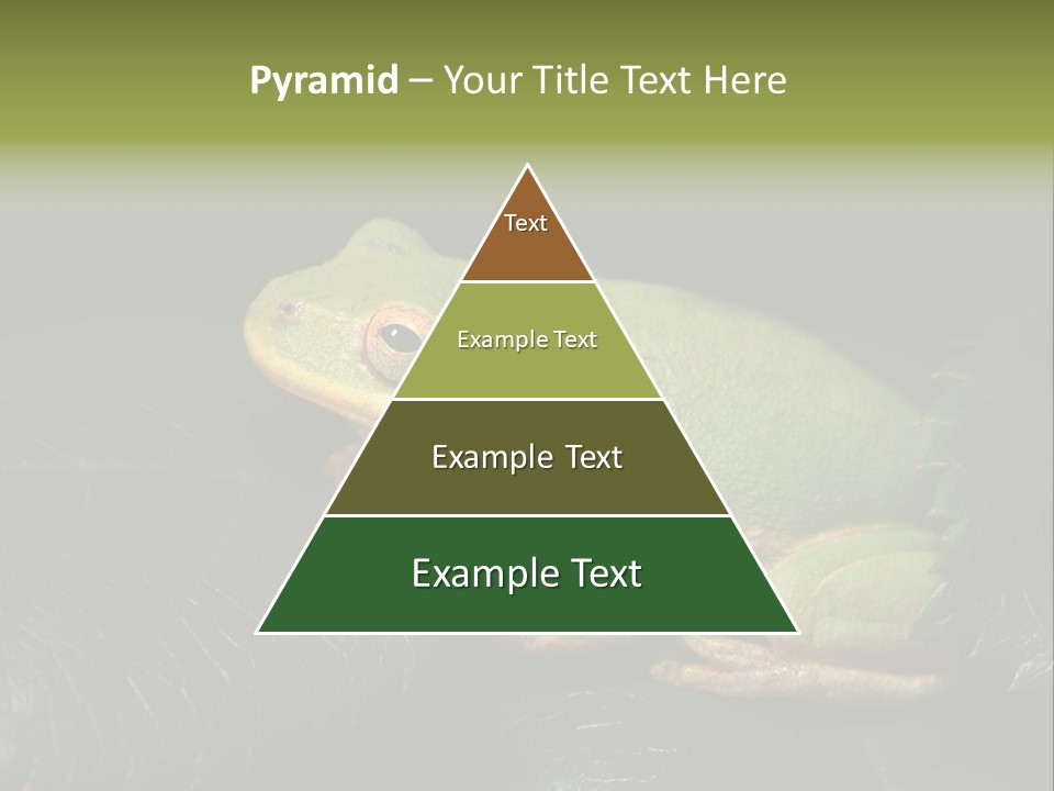 Frog Green Frog Nature PowerPoint Template