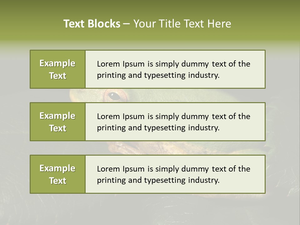 Frog Green Frog Nature PowerPoint Template