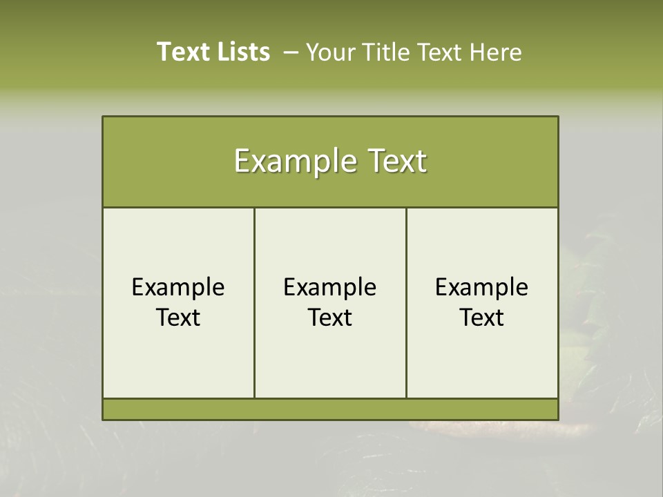 Frog Green Frog Nature PowerPoint Template