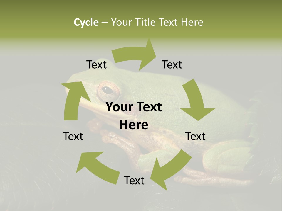 Frog Green Frog Nature PowerPoint Template