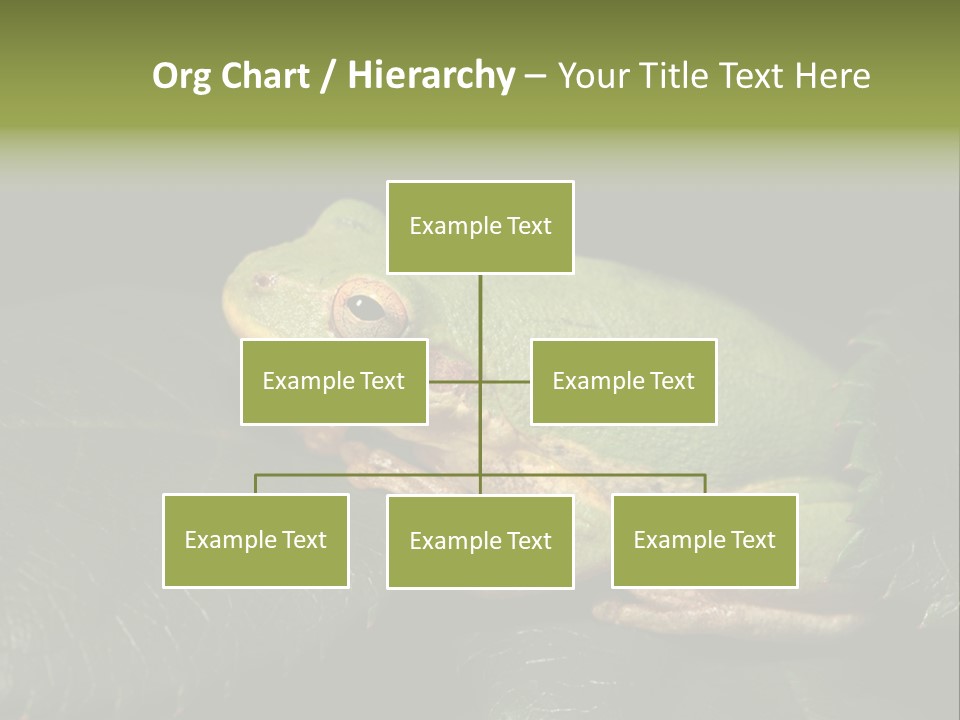 Frog Green Frog Nature PowerPoint Template