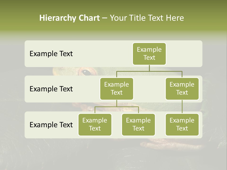 Frog Green Frog Nature PowerPoint Template
