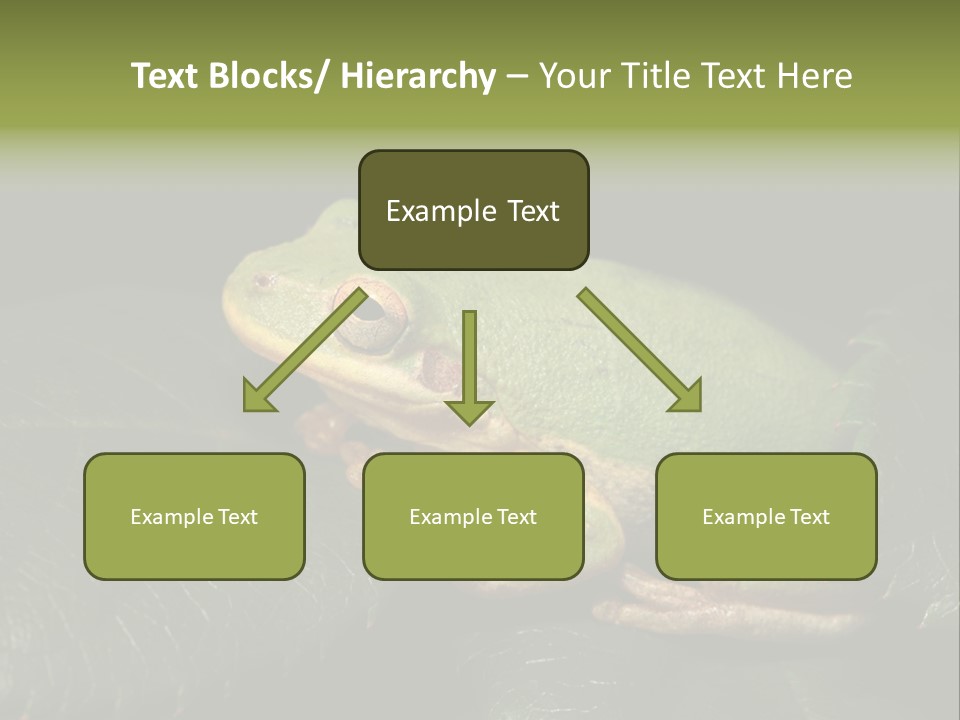 Frog Green Frog Nature PowerPoint Template