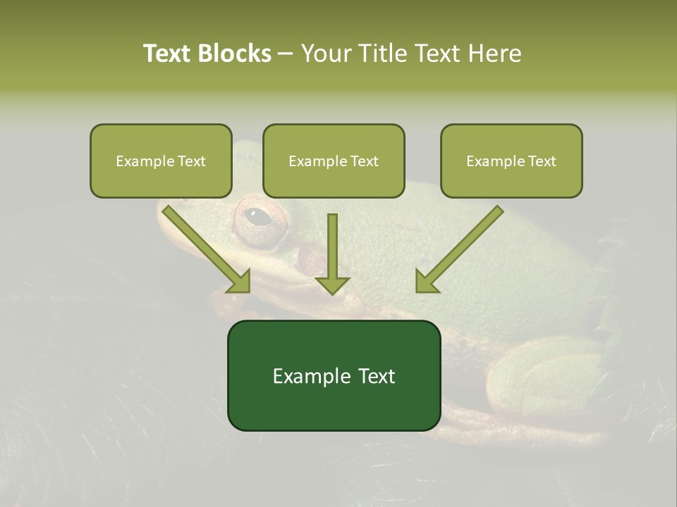 Frog Green Frog Nature PowerPoint Template