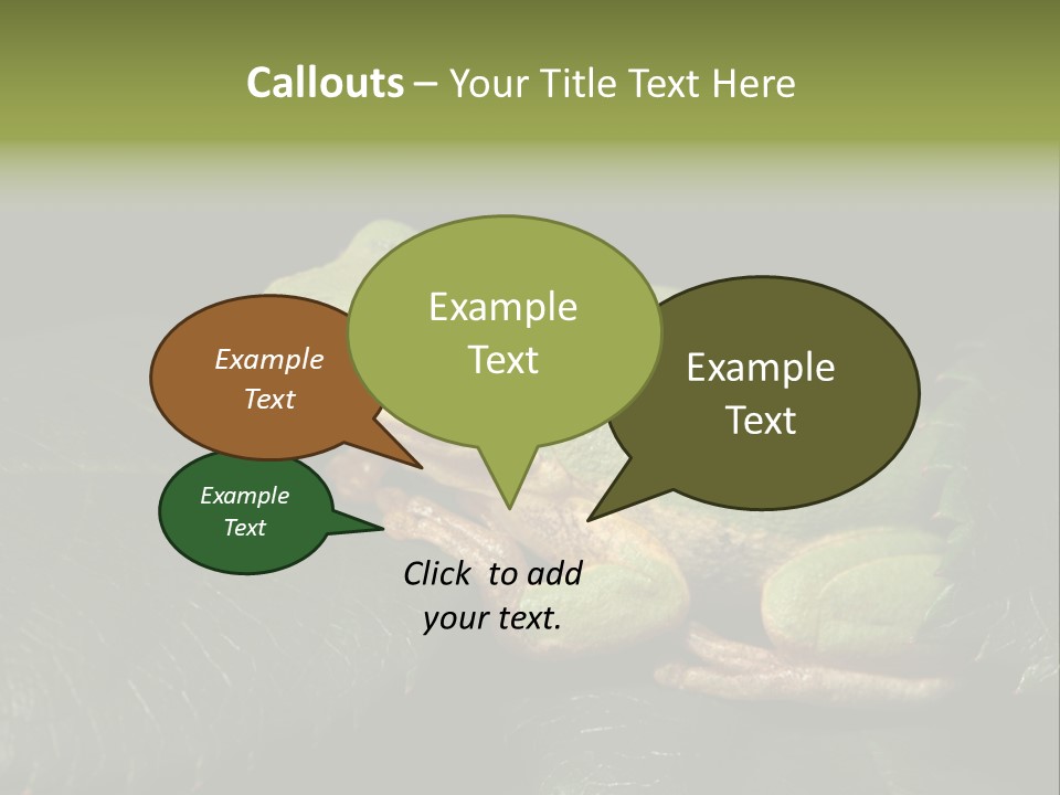 Frog Green Frog Nature PowerPoint Template