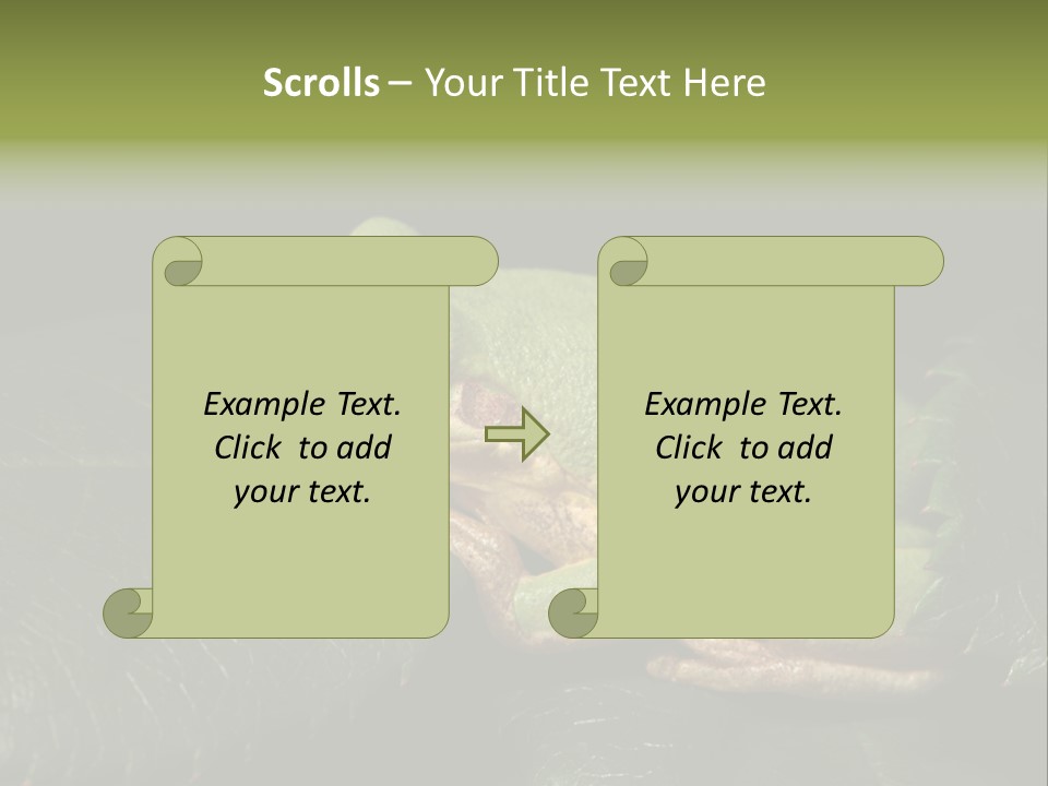 Frog Green Frog Nature PowerPoint Template