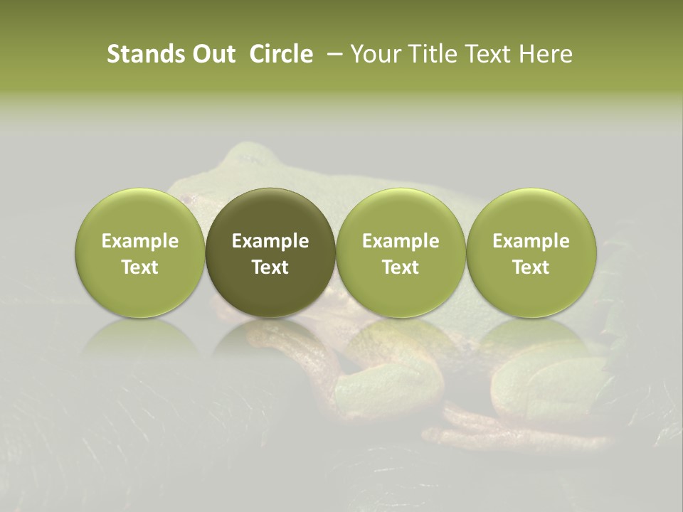Frog Green Frog Nature PowerPoint Template