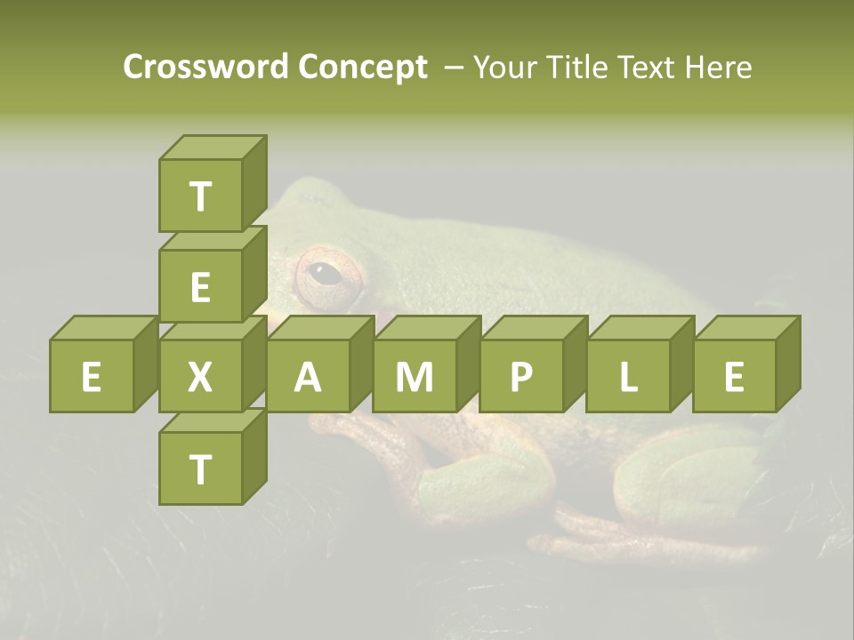 Frog Green Frog Nature PowerPoint Template