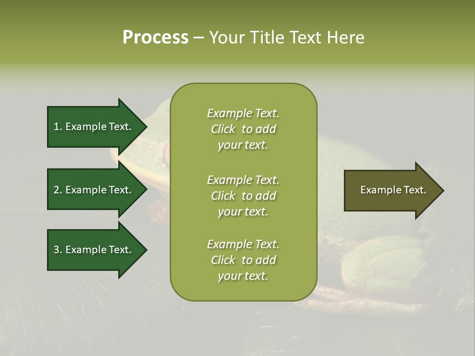 Frog Green Frog Nature PowerPoint Template
