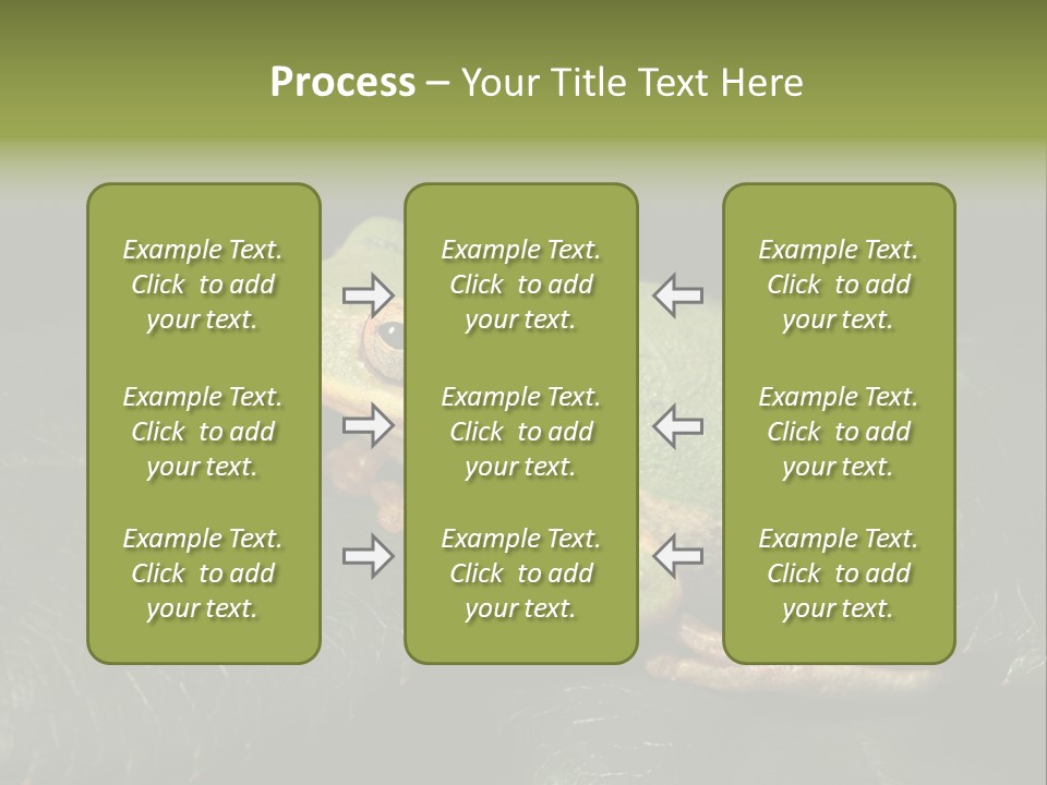 Frog Green Frog Nature PowerPoint Template