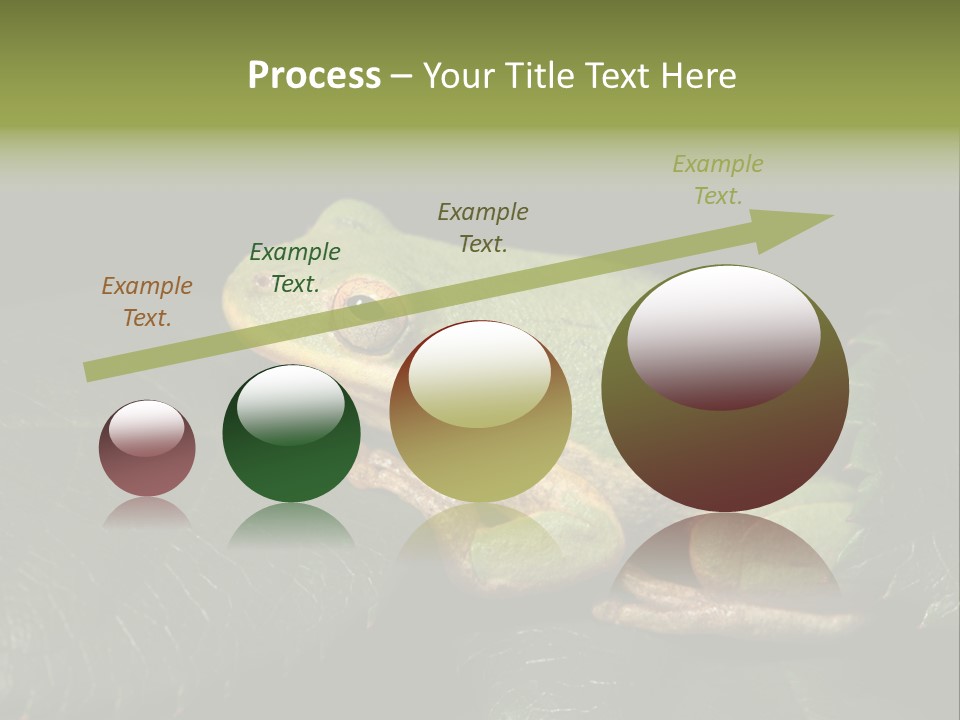 Frog Green Frog Nature PowerPoint Template