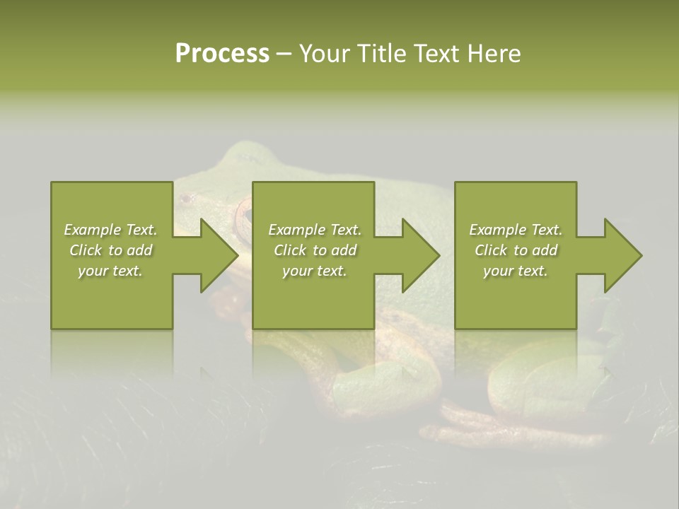 Frog Green Frog Nature PowerPoint Template