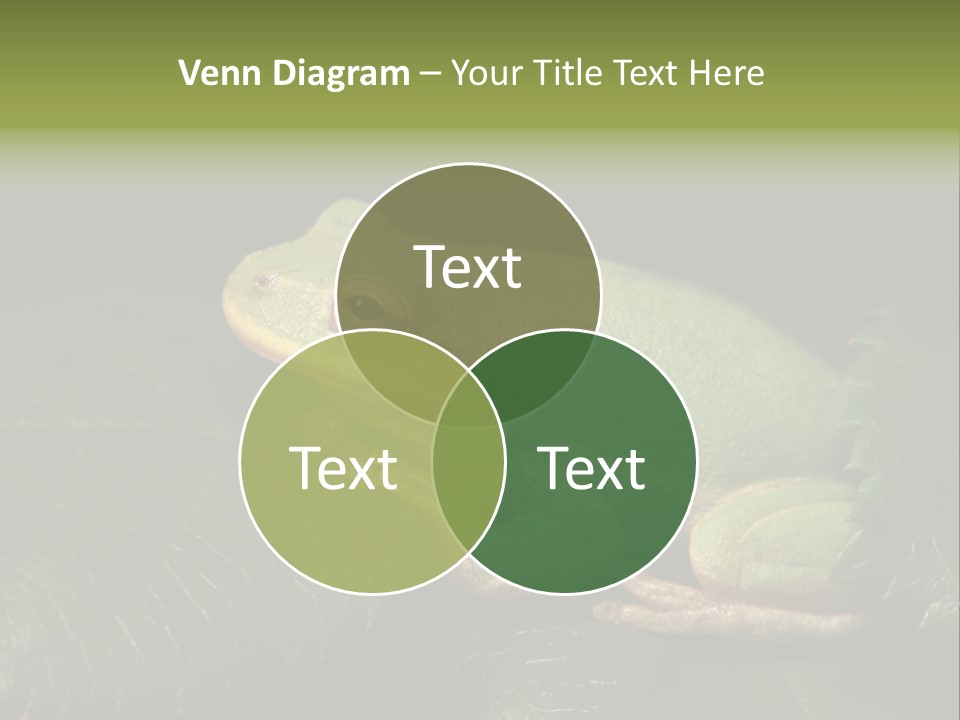 Frog Green Frog Nature PowerPoint Template