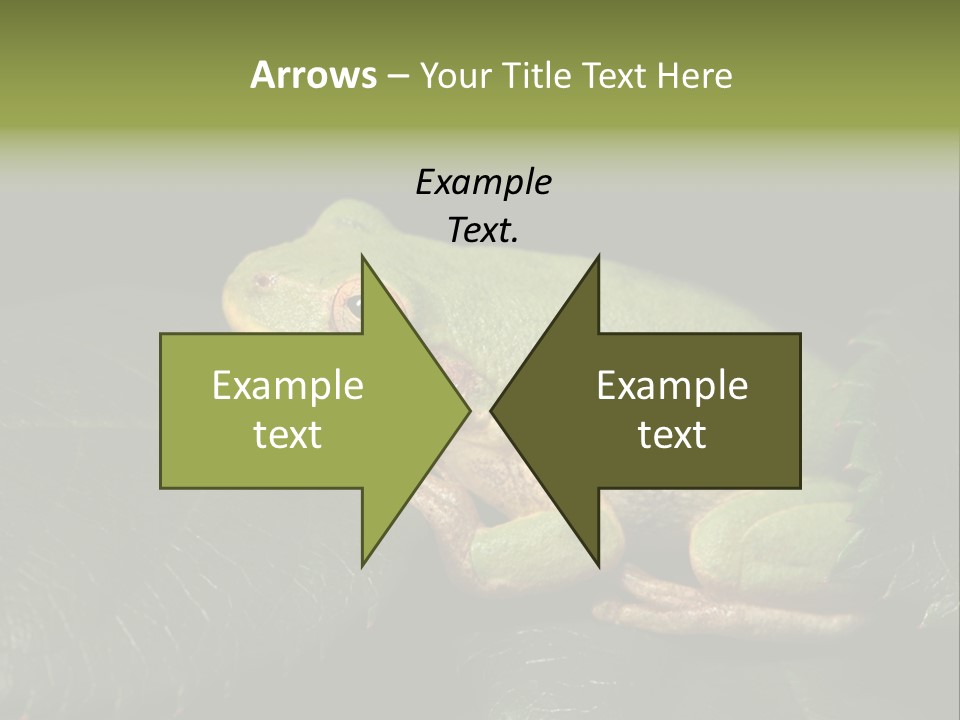 Frog Green Frog Nature PowerPoint Template