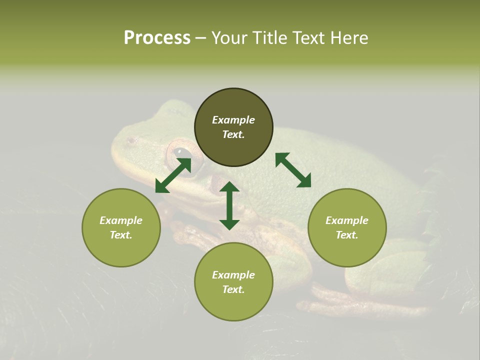 Frog Green Frog Nature PowerPoint Template