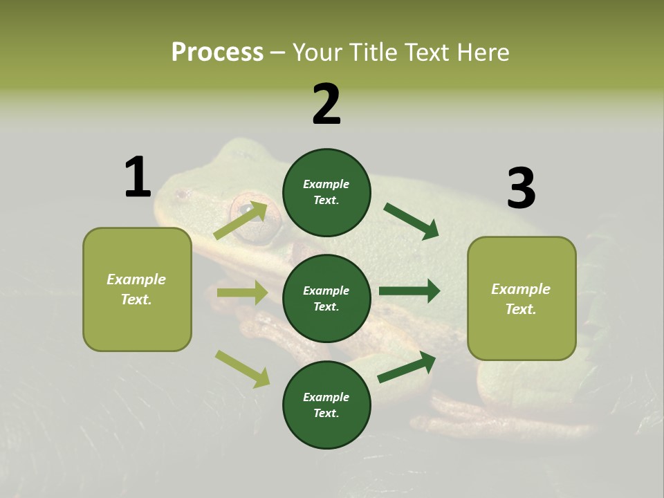 Frog Green Frog Nature PowerPoint Template