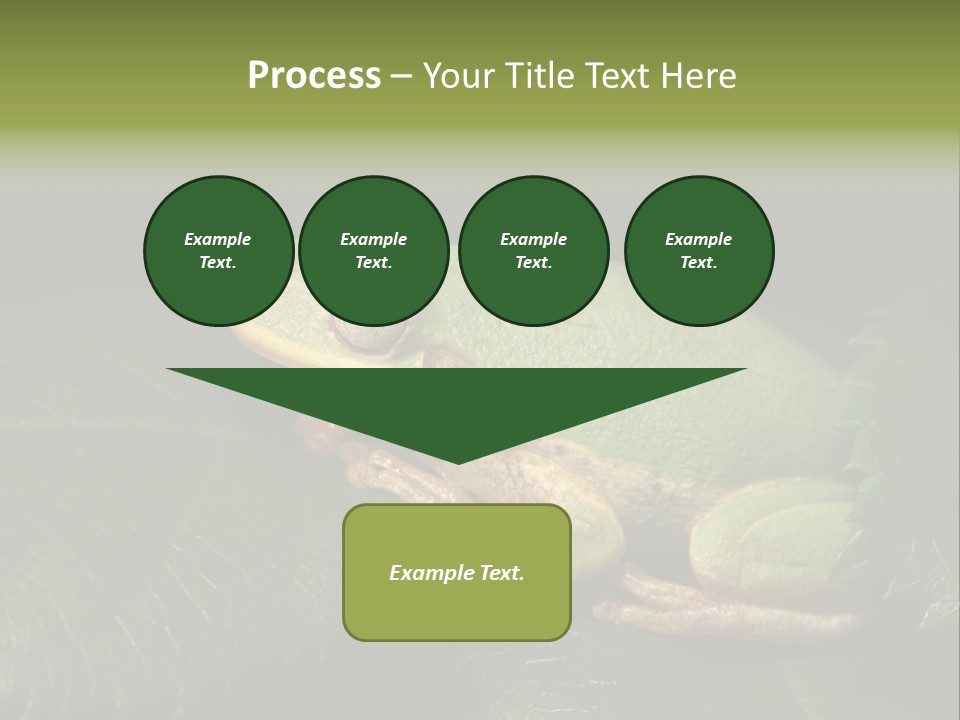 Frog Green Frog Nature PowerPoint Template