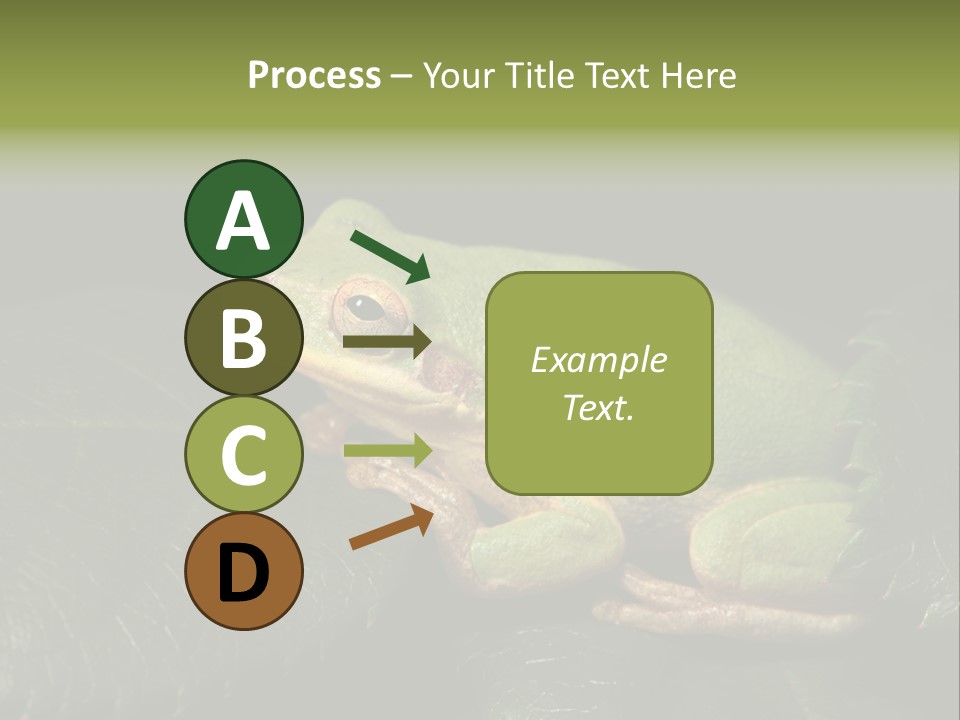 Frog Green Frog Nature PowerPoint Template