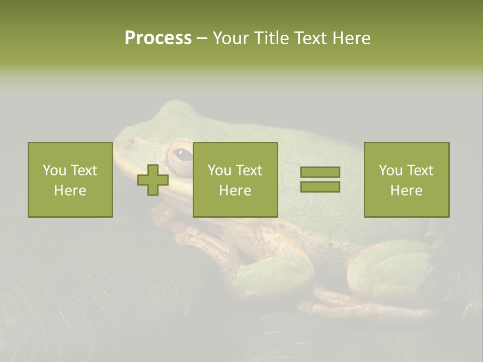 Frog Green Frog Nature PowerPoint Template