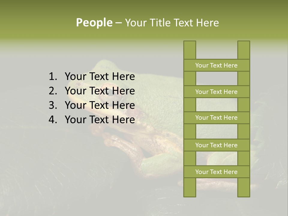 Frog Green Frog Nature PowerPoint Template