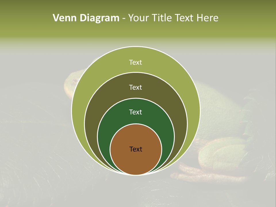 Frog Green Frog Nature PowerPoint Template