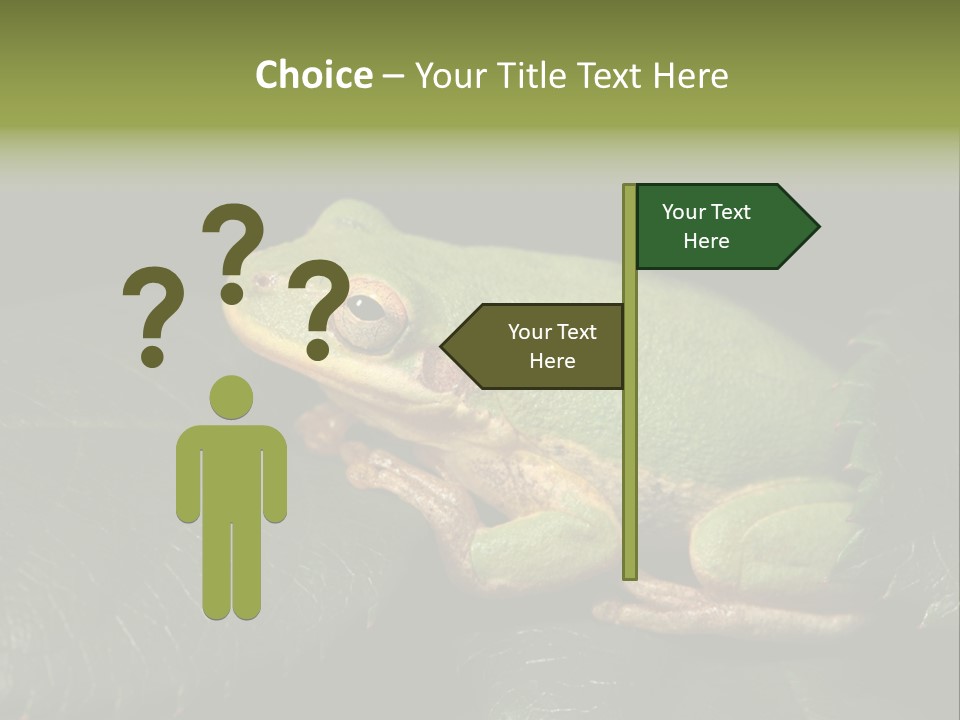 Frog Green Frog Nature PowerPoint Template